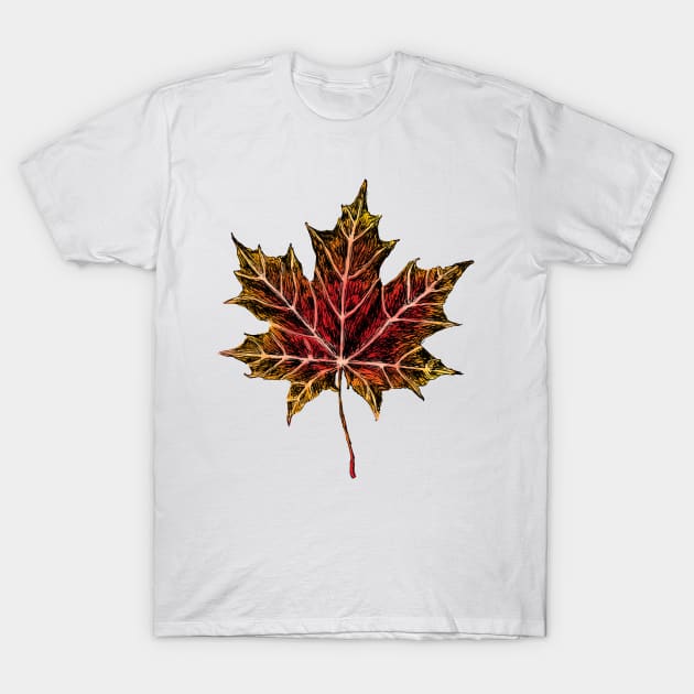 Maple Leaf Art T-Shirt by rachelsfinelines